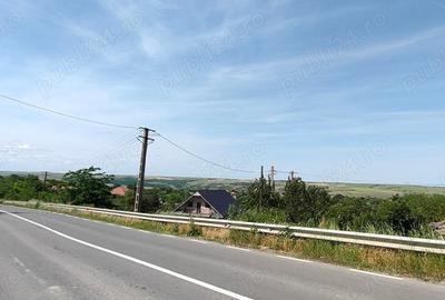 Teren de 925 mp, în Berceni - 3