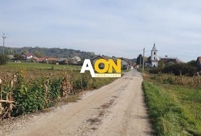 Teren Construcții intravilan de 2100 mp, în Galda de Jos - 2