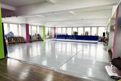 Calea Chisinaului, spatiu birouri 240mp, clasa A, disponibil imediat - 1