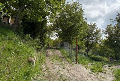 Spațiu comercial, în Moriști - 5