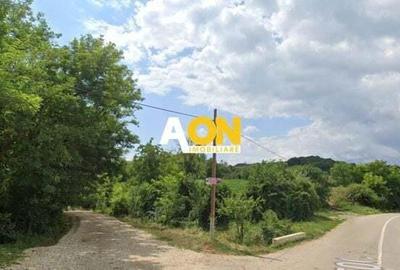 Teren intravilan de vanzare 3.000mp + 20.000mp extravilan