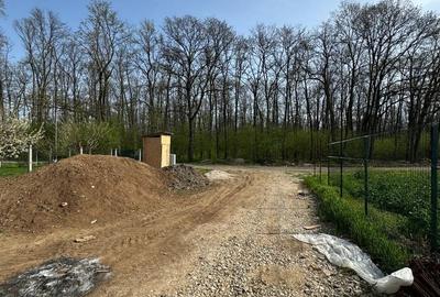 Vile Individuale Noi 4 camere Snagov Ghermanesti - 19