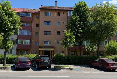 Apartament cu 2 camere decomandat în Noua - 1