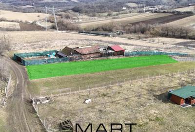Teren de 10000 mp, în Gușterița - 2