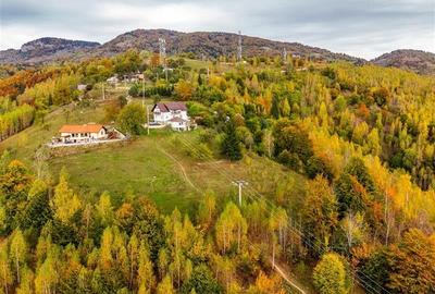 Film! Teren in peisaj mirific, Parcul Natural Piatra Craiului, Moieciu, Magura, - 4