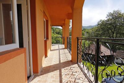 Casă cu Teren 8000 Mp în Trestia - 9