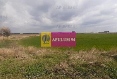 Teren Construcții intravilan de 5110 mp, în 1 Decembrie - 31