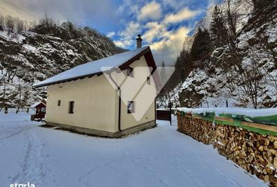 Casă cu 6 camere cu Teren 685 Mp în Râu Sadului - 3