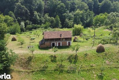 Teren de 6200 mp, în Cicănești - 6