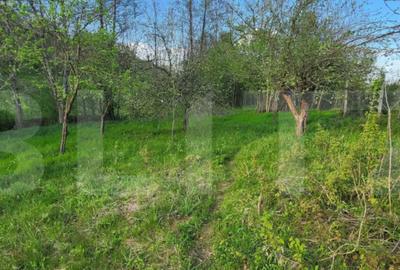 Teren de 6659 mp, în Nisipoasa - 7