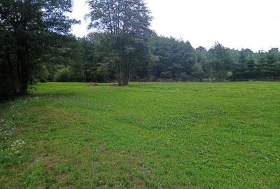 De vânzare teren extravilan - 3