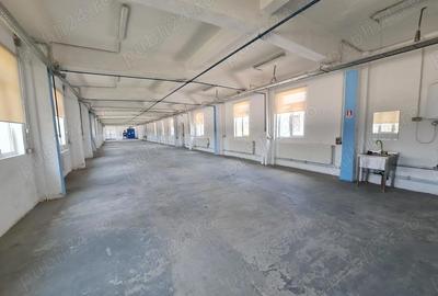 Spațiu comercial, de 1,059 mp, în Lugoj - 8