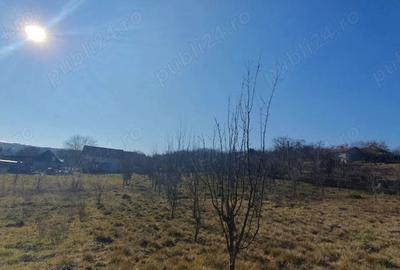 Teren de 3000 mp, în Boju - 4