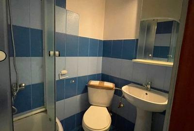 Apartament 1 camera decomandat-Metalurgie-bloc fara risc - 6
