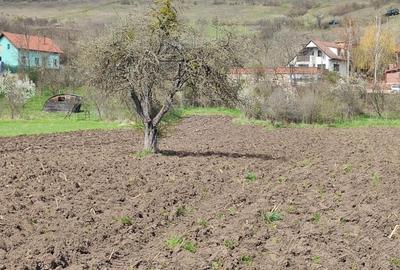 Casa  pentru vânzare cu 2 394 mp. teren aferent, in  Vlaha nr.378, jud. Cluj- 205 000 euro negociabil