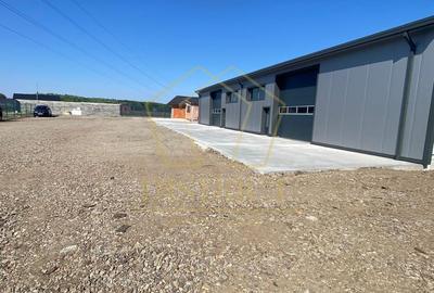 Hala industriala 430mp cu spatiu de birouri 130mp | Oradea - 3