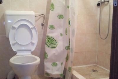 Teren 570 mp + constructie  locuibila + hala zona Giulesti /Podul Grant - 12