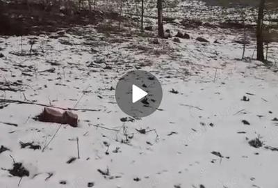 Casă cu 2 camere în Ițcani - 2