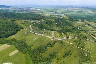 Spațiu comercial, în Vulcan - 5
