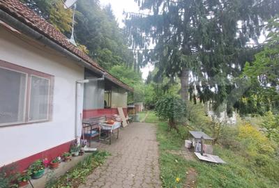 Casă cu 2 camere cu Teren 1000 Mp în Vulcan - 13