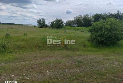 Teren de 114000 mp, în Ariceștii Rahtivani - 15