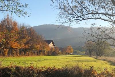 Teren Construcții intravilan de 2000 mp, în Sadu - 2