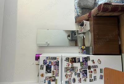 Garsonieră decomandată în Valea Rosie - 1