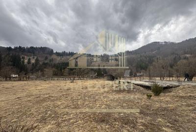 TEREN INTRAVILAN 500 MP SATIC- RUCAR - 6