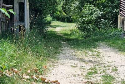 Teren Construcții intravilan de 5700 mp, în Câmpulung Muscel - 2