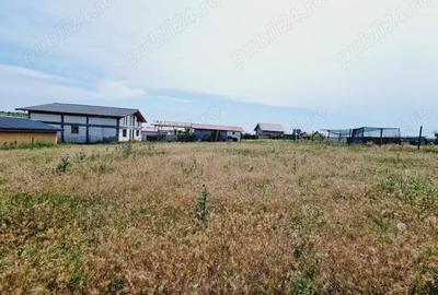 Teren de 873 mp, în Vânători - 4