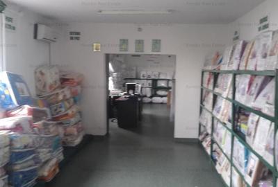 Spatiu comercial/industrial de vanzare zona Pantelimon - 4