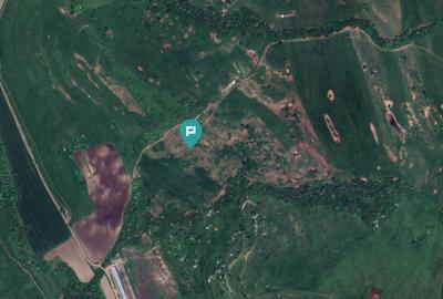 Teren agricol extravilan de 1950000 mp, în Cincu - 2