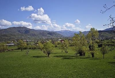 Spațiu comercial, în Leordina - 3
