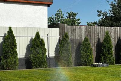 Casa premium de vanzare Zona Dumbrava - 9