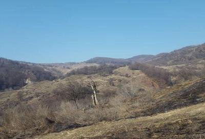 Teren de 6200 mp, în Viperești - 6