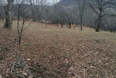 Teren intravilan de 2700 mp, în Secăriei - 4