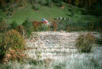 Teren 6700 mp, Apuseni, Pietroasa, Valea Aleului, Bihor, De Vanzare - 2