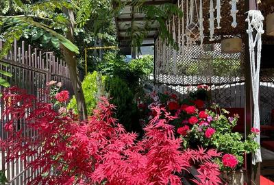 Ultracentral Pensiune Costinesti 19 Camere - 7