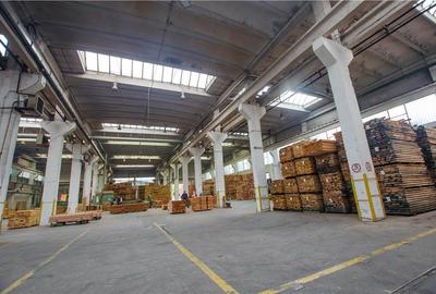 Spațiu industrial, de 5,200 mp, în Periferie - 12