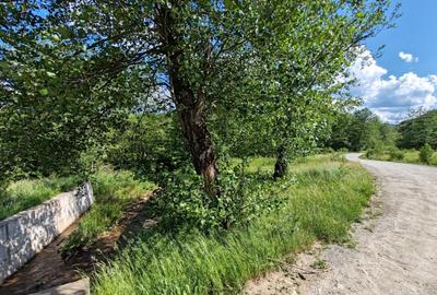 1,3 HA TEREN EXTRAVILAN, Muntii Apuseni, Negreni, jud. Cluj, la 5 km de E60 - 13