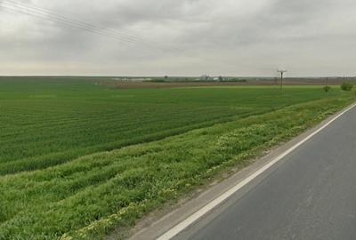 Constanta - Mihail Kogalniceanu - teren intravilan 12.500 mp - 5