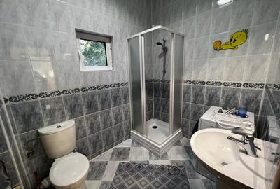 Casă individuală cu 7 camere cu Teren 600 Mp în Voluntari - 19