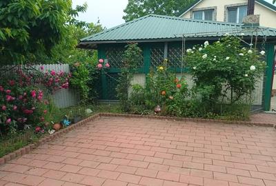 Casă individuală cu 3 camere cu Teren 258 Mp în Lumina - 2
