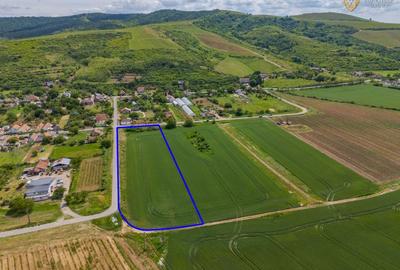 Teren agricol intravilan de 6400 mp, în Miniș - 2