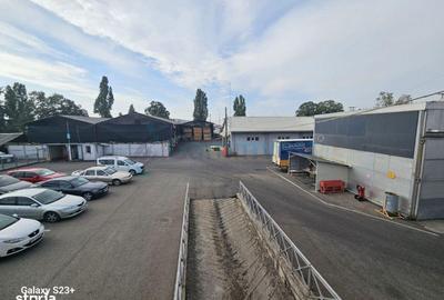 Spațiu comercial, de 5,500 mp, în Borș - 17