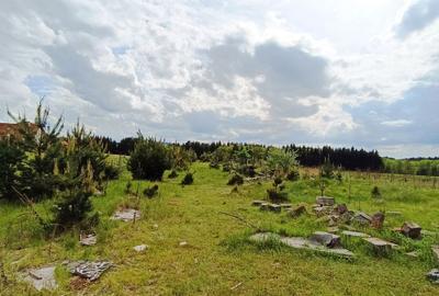 Teren Construcții intravilan de 1445 mp, în Reci - 11