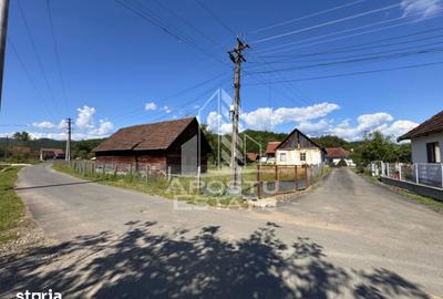 Casă cu 4 camere cu Teren 3334 Mp în Roșia Montană - 3