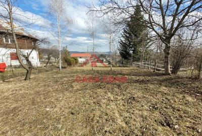 Teren intravilan in Poiana Campina --3676 mp--8e - 4