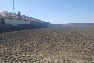 Teren de 7444 mp, în Dărmănești - 3
