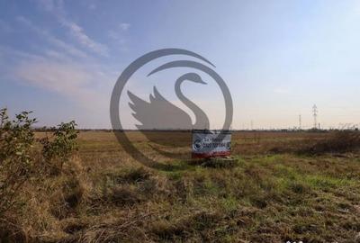 Teren de 5050 mp, în Blejoi - 2